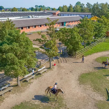 Hirschburg 4 * Ribnitz-Damgarten